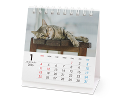 ���J�����_�[�����`�����O�^�C�v