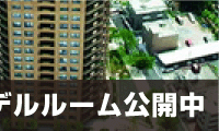ʐ^̖̏nx^}