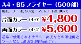 A4�EB5�t���C���[