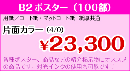 B2�|�X�^�[