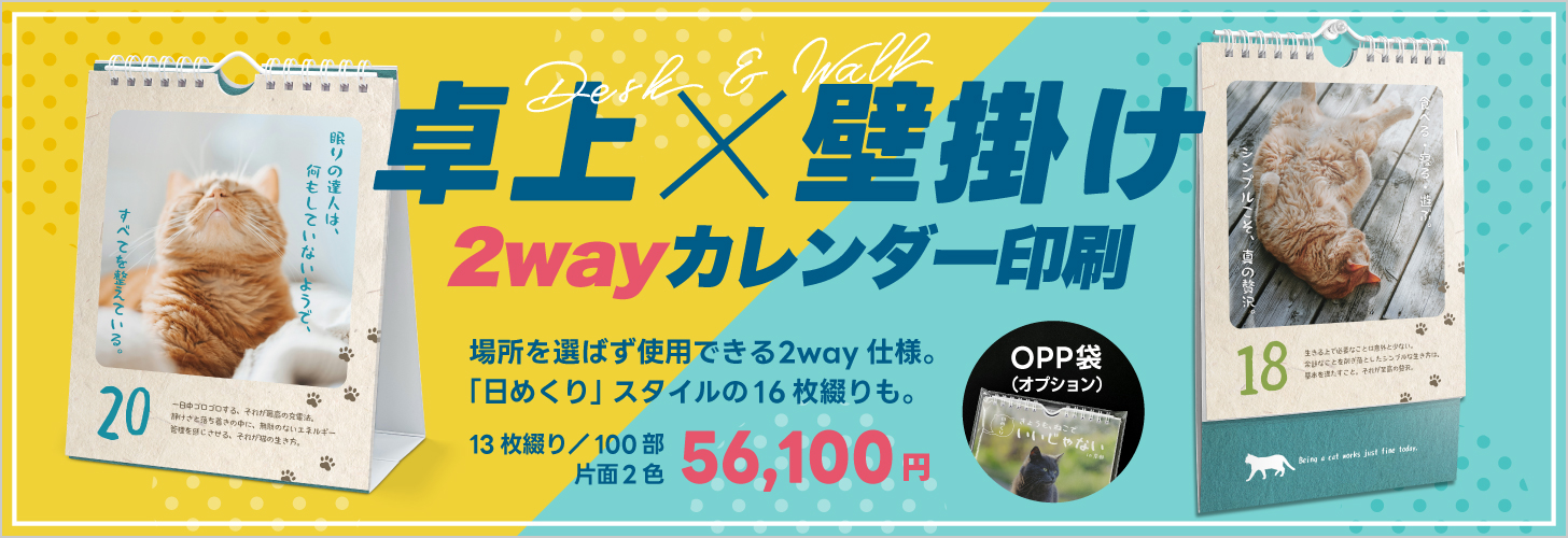 Ǌ|2wayJ_[BꏊI΂gpł2waydlŁA߂X^C16ԂB